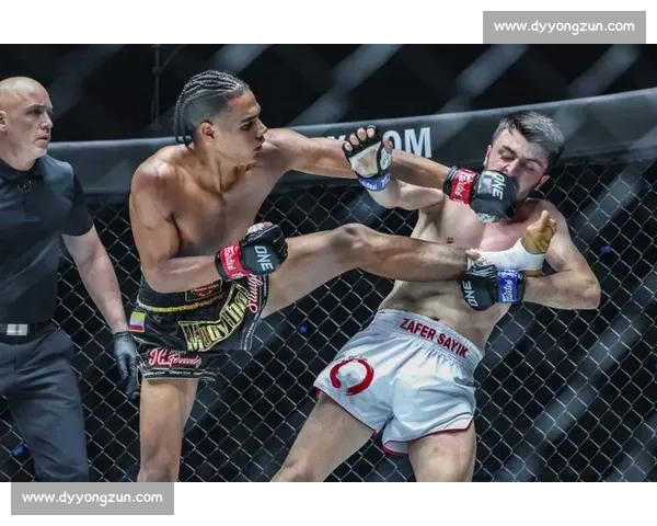 以西提猜vs安迪苏瓦巅峰对决谁将主宰踢拳世界新格局之战前夜篇 以西提猜vs安迪苏瓦巅峰对决谁将主宰踢拳世界新格局之战前夜篇